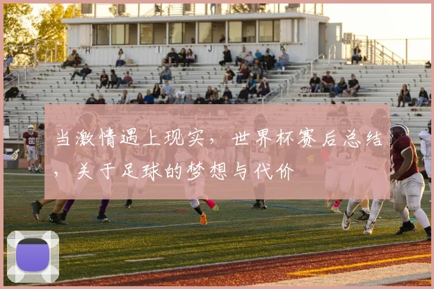 当激情遇上现实，世界杯赛后总结，关于足球的梦想与代价