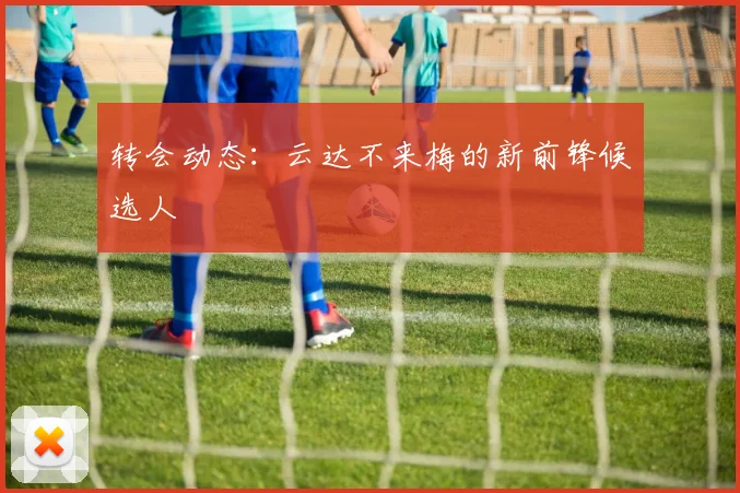 转会动态：云达不来梅的新前锋候选人