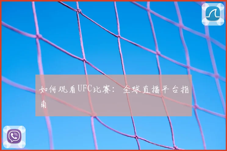 如何观看UFC比赛：全球直播平台指南