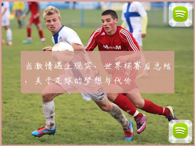 当激情遇上现实,世界杯赛后总结,关于足球的梦想与代价