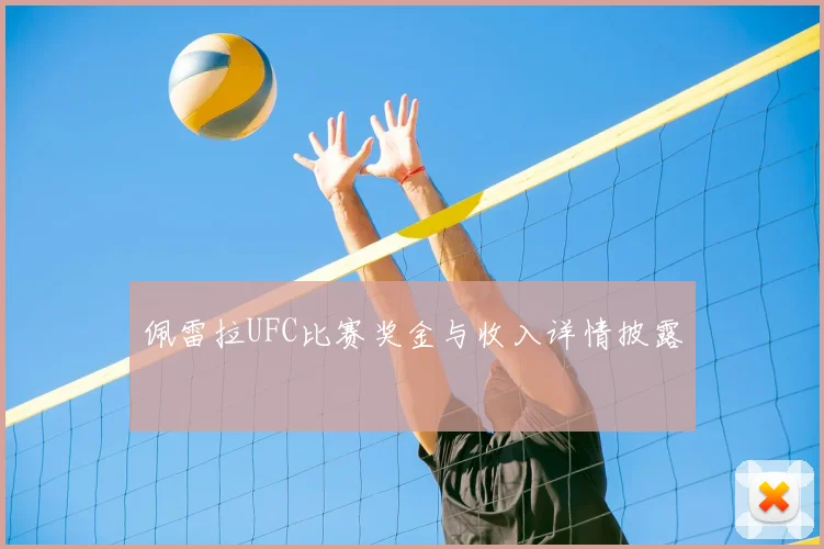 佩雷拉UFC比赛奖金与收入详情披露