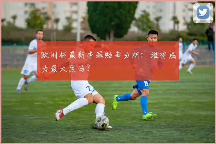 欧洲杯最新夺冠赔率分析：谁将成为最大黑马？