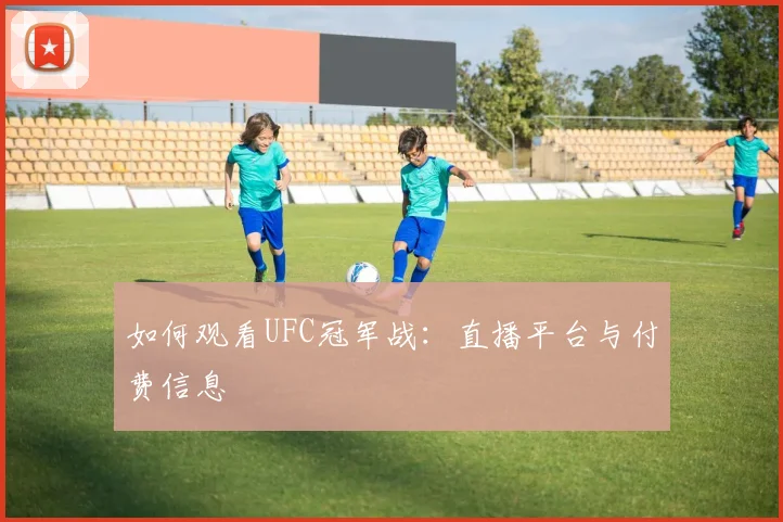 如何观看UFC冠军战：直播平台与付费信息