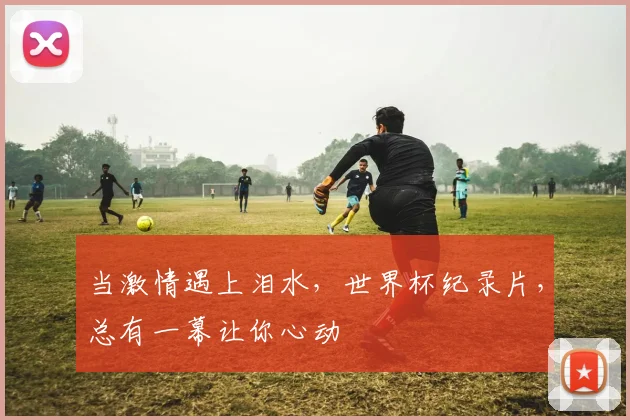 当激情遇上泪水，世界杯纪录片，总有一幕让你心动