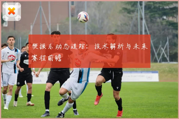 樊振东动态追踪：技术解析与未来赛程前瞻