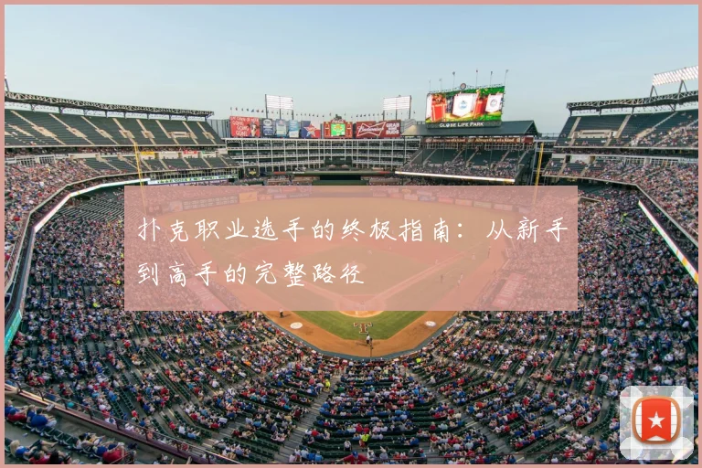 扑克职业选手的终极指南：从新手到高手的完整路径