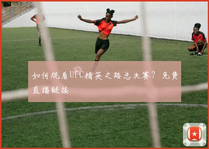如何观看UFC精英之路总决赛?免费直播链接