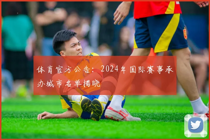 体育官方公告：2024年国际赛事承办城市名单揭晓